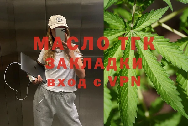 сатива Аркадак