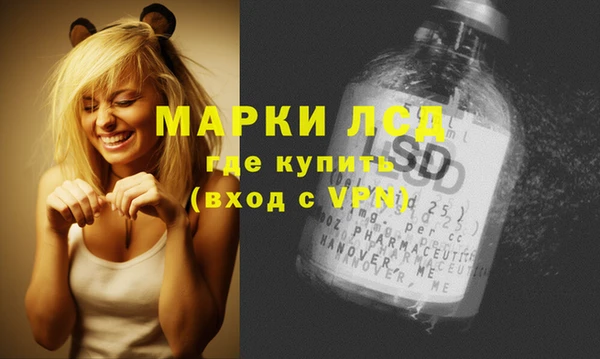 сатива Аркадак