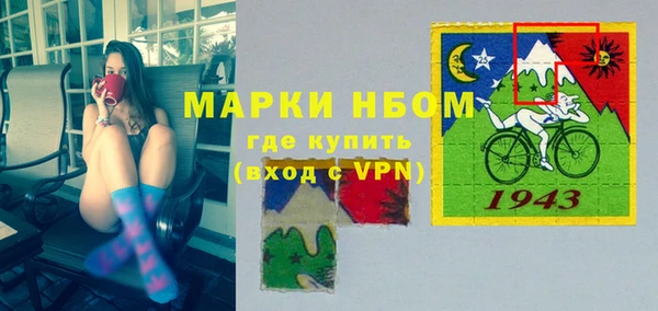 сатива Аркадак